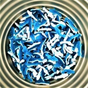Squali blu - 100g